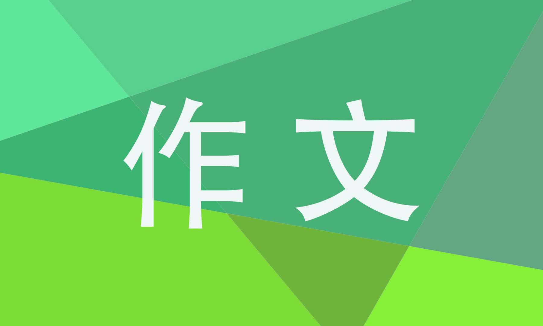 把握青春作文800字